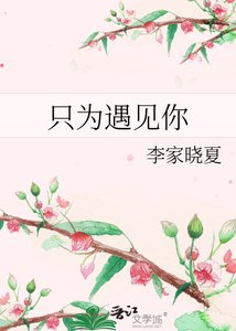 只为遇见你